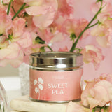 Pintail Medium Candle Sweet Pea