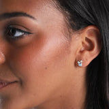 'The Collector' Shell & Starfish Studs