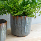 Hillesley Plant Pot 11cm