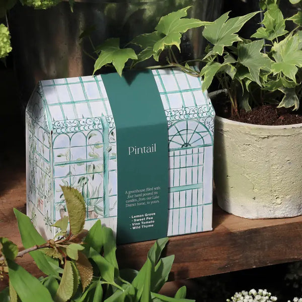 Pintail Candles Greenhouse Selection
