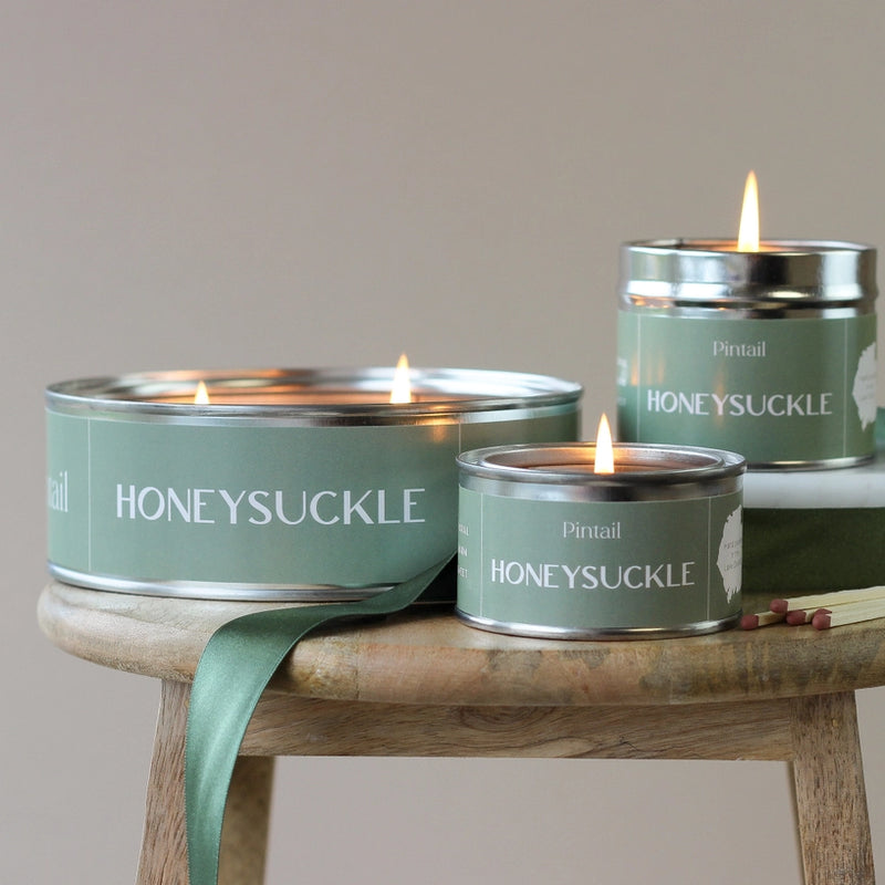 HONEYSUCKLE PAINT POT CANDLE