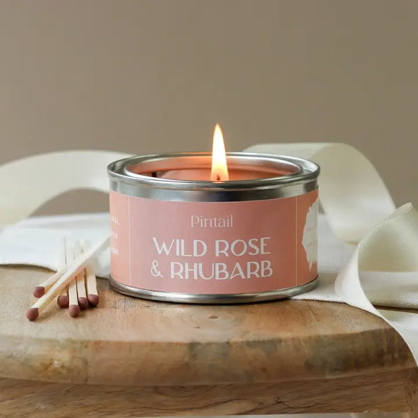 WILD ROSE & RHUBARB PAINT POT CANDLE