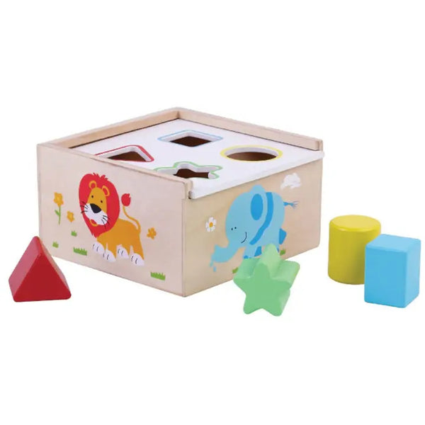 Shape Sorter box