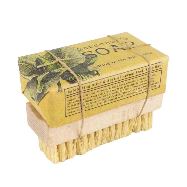 Exfoliating Olive Soap and Brush