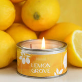 Pintail Candles Greenhouse Selection