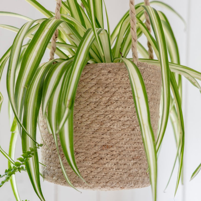 SMALL HANGING PLANTER